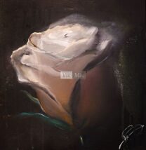 Роза, картон - масло, 30см x 40см, 2013г